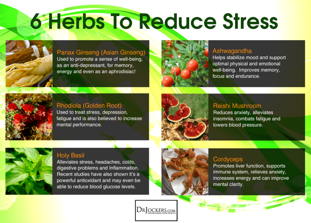 6 herbs to reduce stress graphic