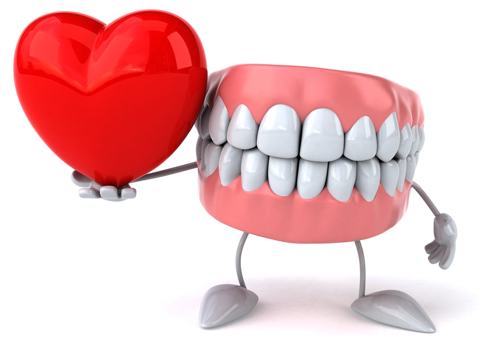 fake teeth toy holding red heart
