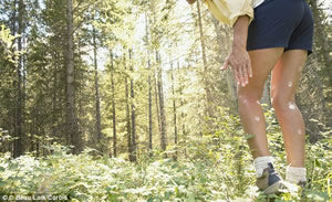 hiker in the woods