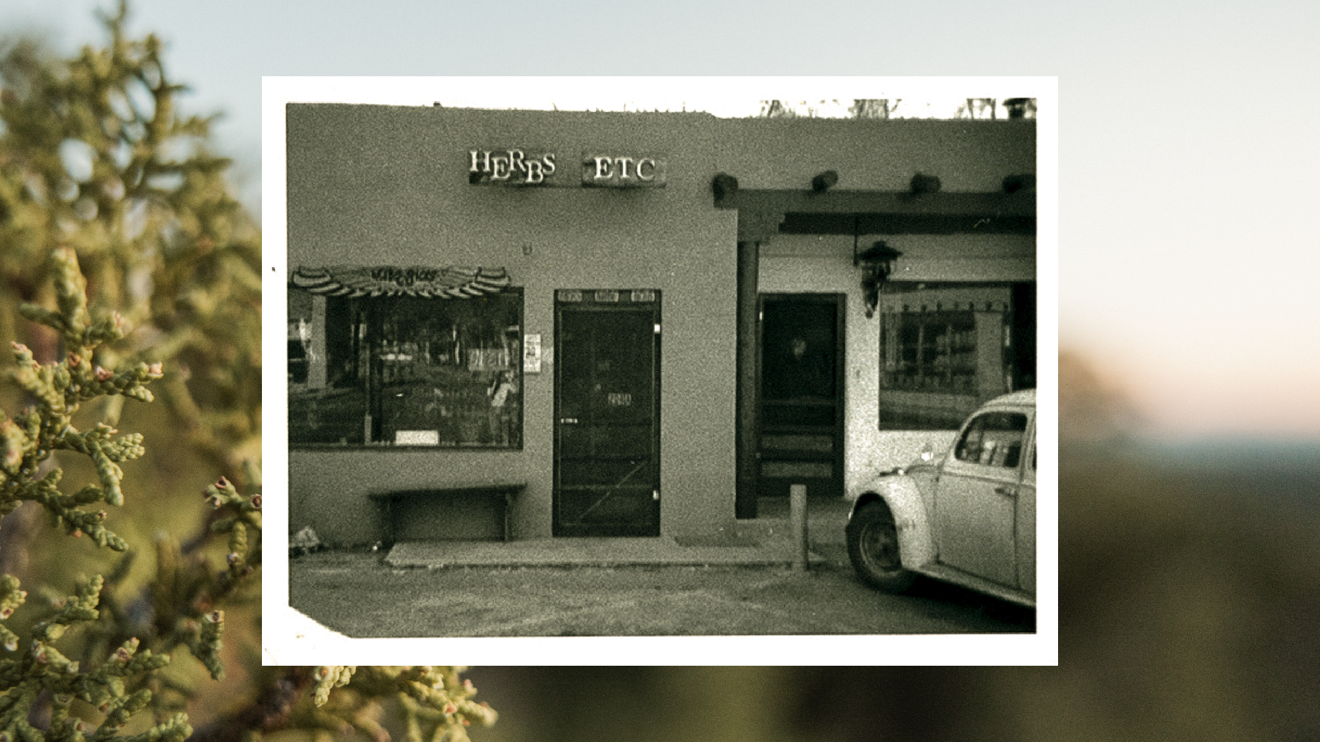 It’s our 52nd anniversary!
