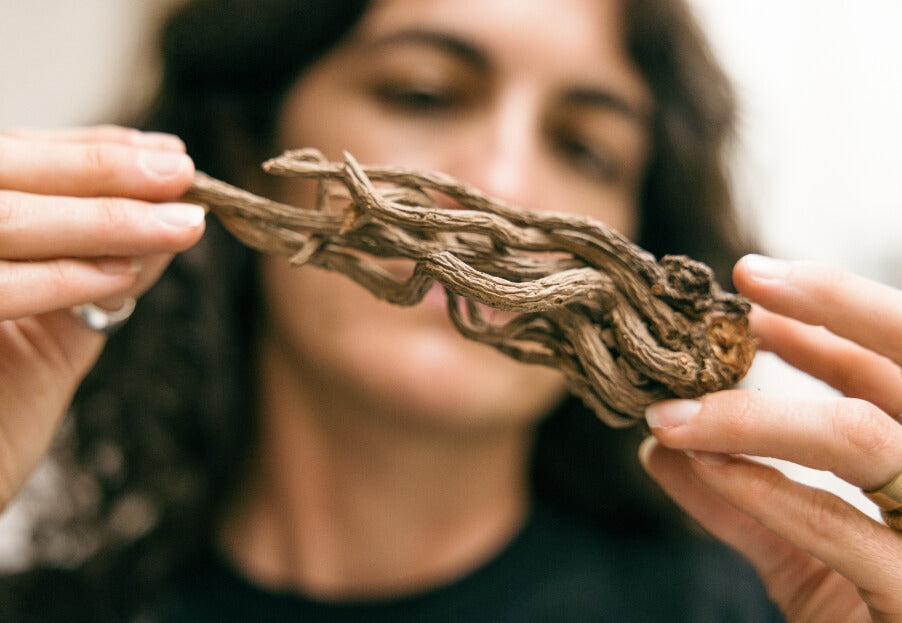 Why and When We Use Dried Herbs