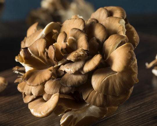mushroom