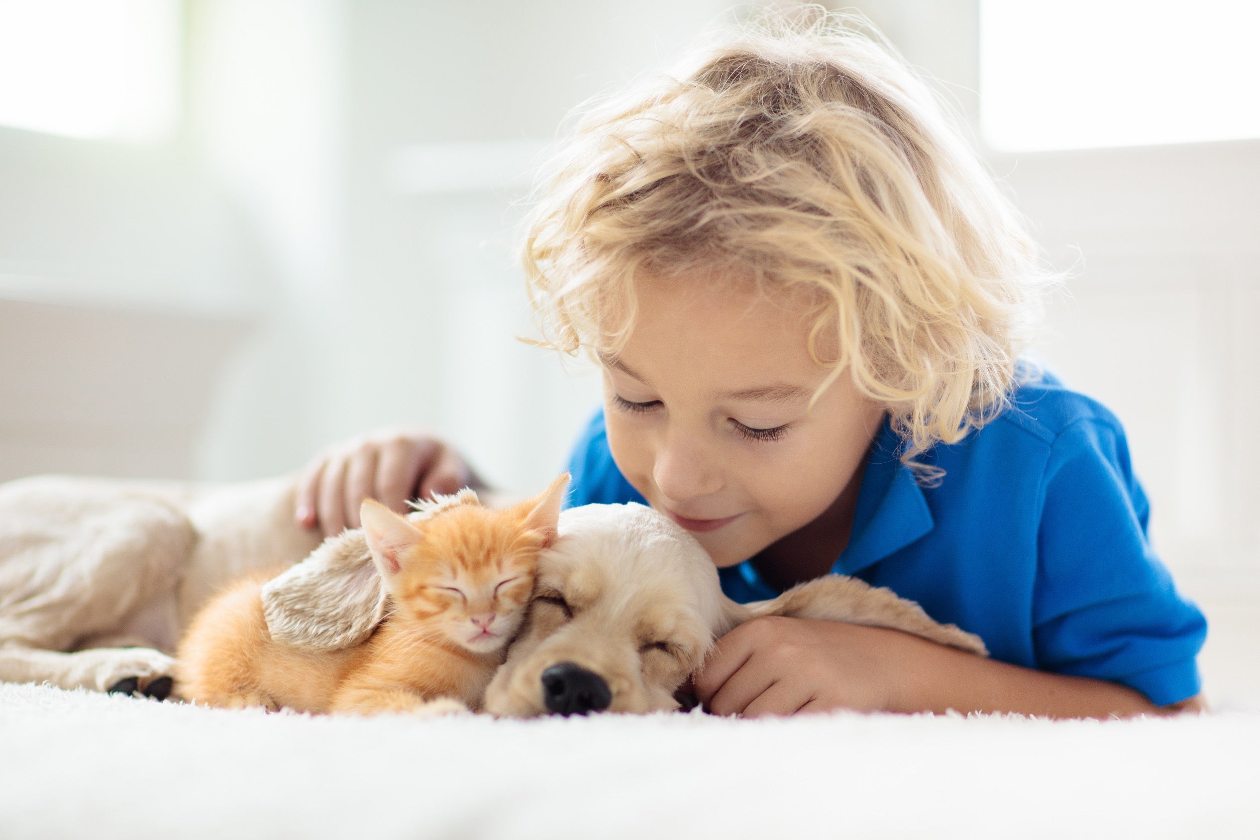 young boy with sleeping kitten and puppy