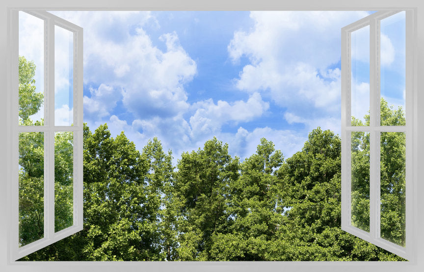open window with view to trees