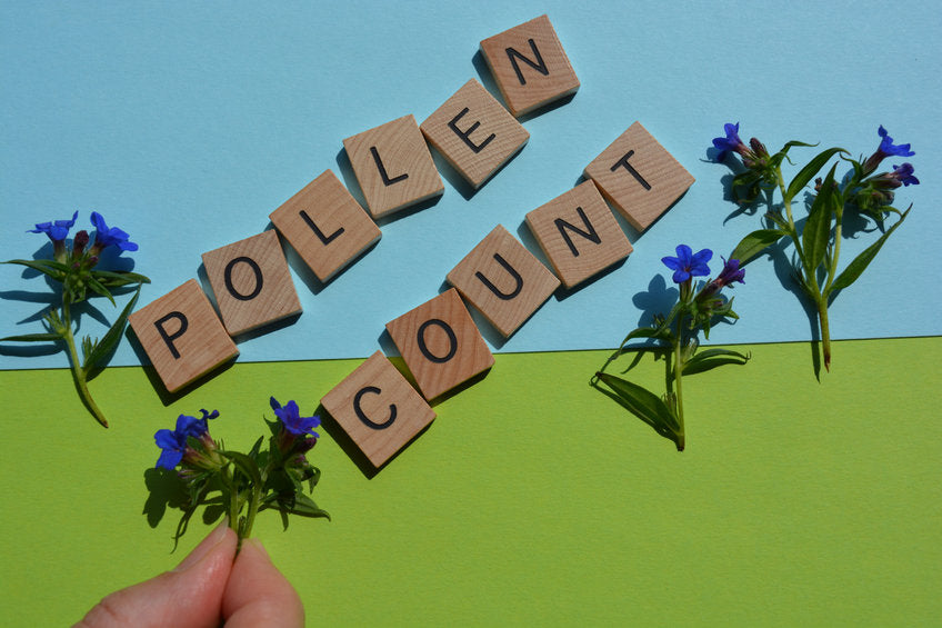 pollen count spelled out on letter blocks