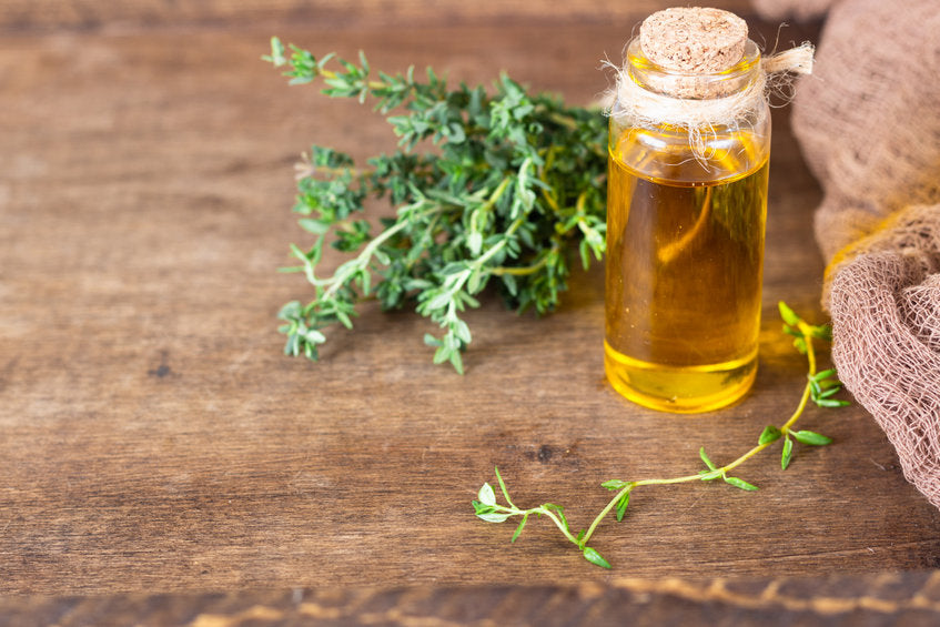 plant and oil