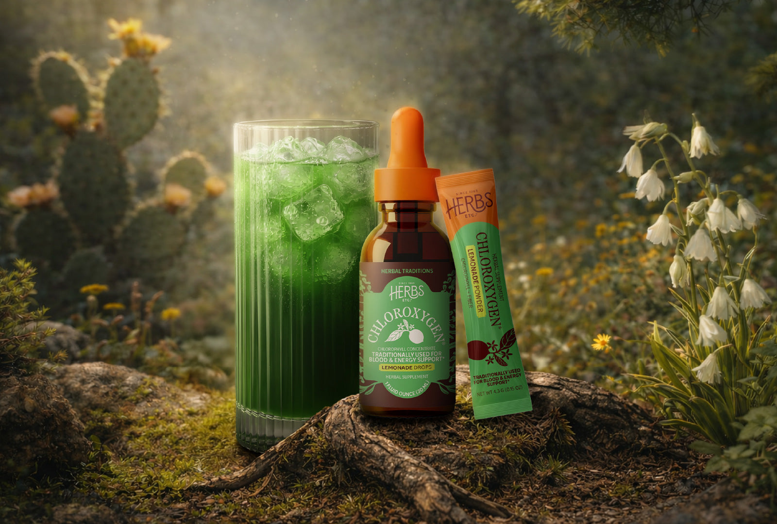 Drinking Green Intelligence: The Living Science of Chlorophyll