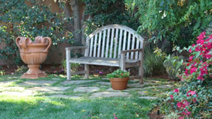 bench in park
