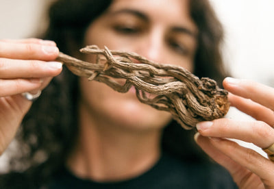 Why and When We Use Dried Herbs