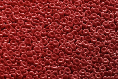 How to increase red blood cells.