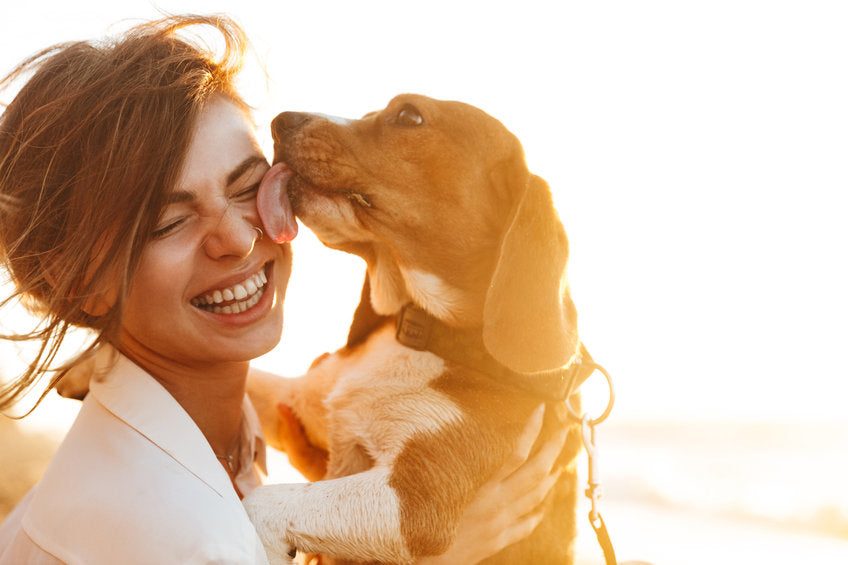 woman licked by dog