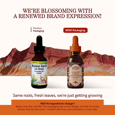 Mullein Garlic Ear Drops